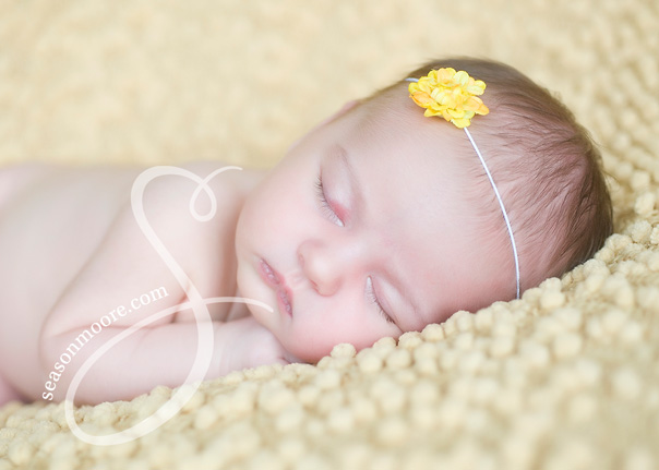 Newborn Raleigh NC yellow headband