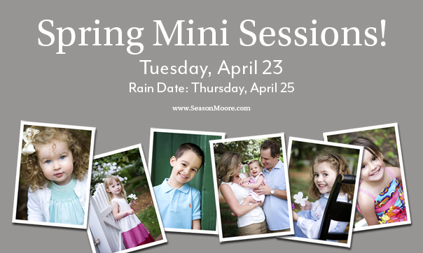 spring mini sessions raleigh photographer