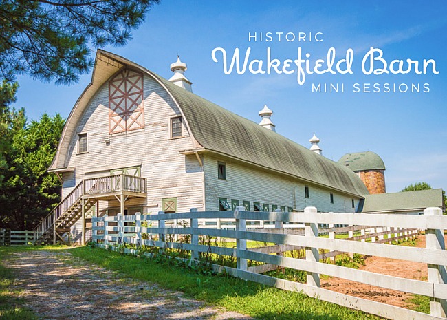 Historic Wakefield Barn Mini Sessions | WAKEFIELD.jpg