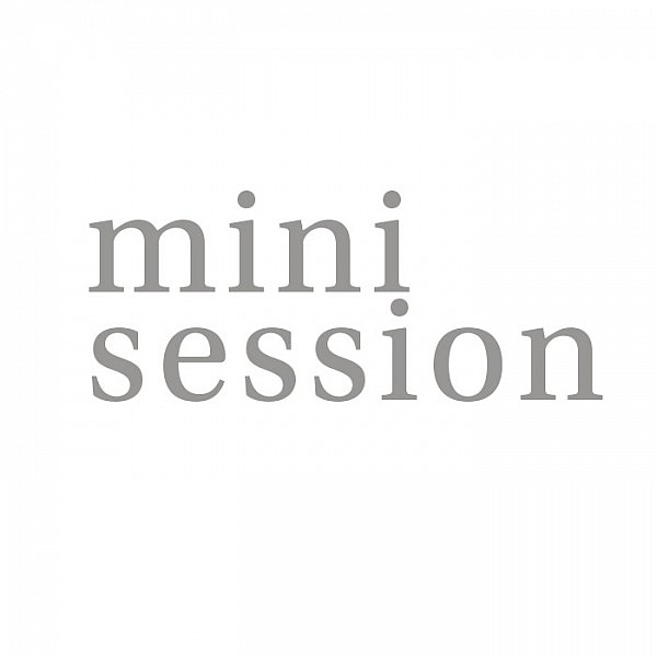 mini session.jpg