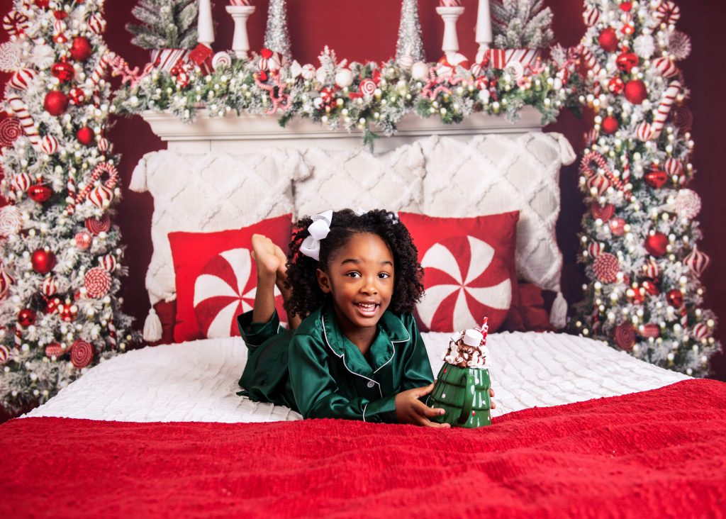 raleigh holiday mini sessions